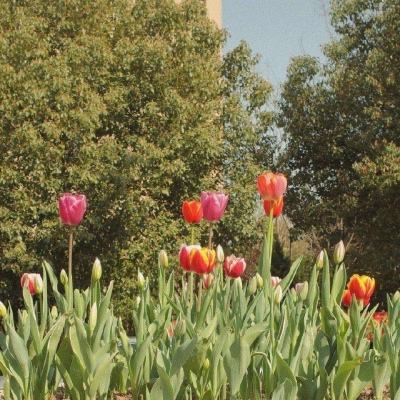 环球体育登录平台